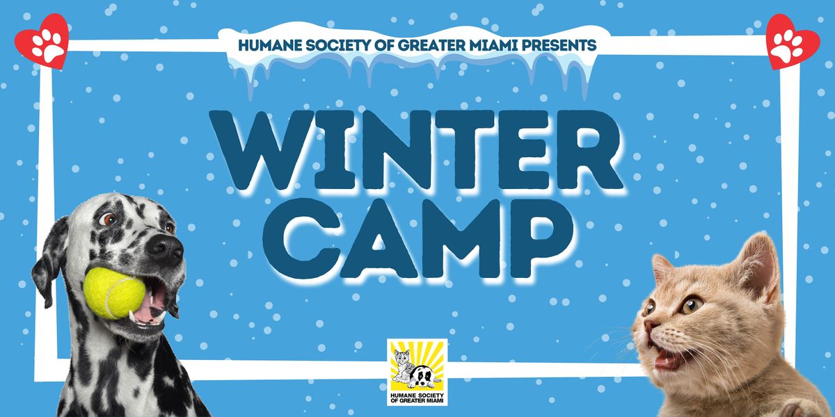 Winter  Camp (Ages 9-12)