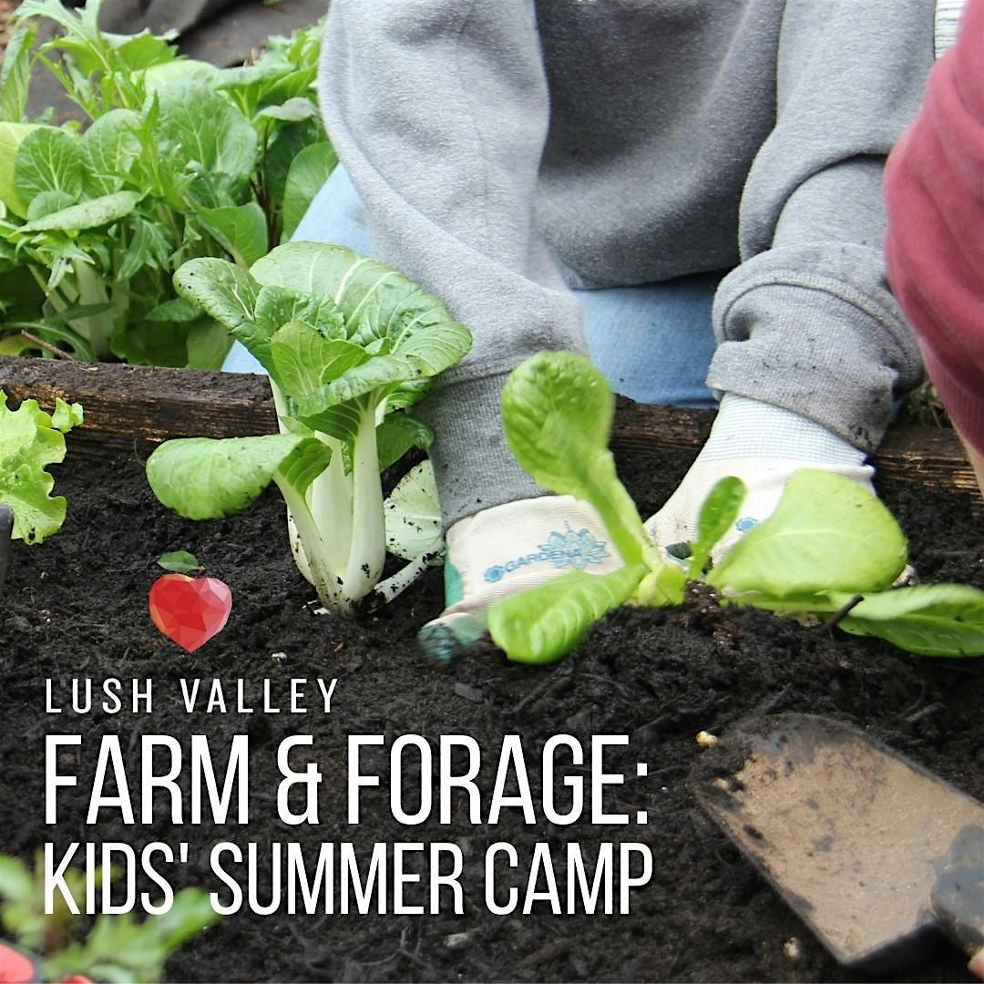 Farm & Forage Summer Camp