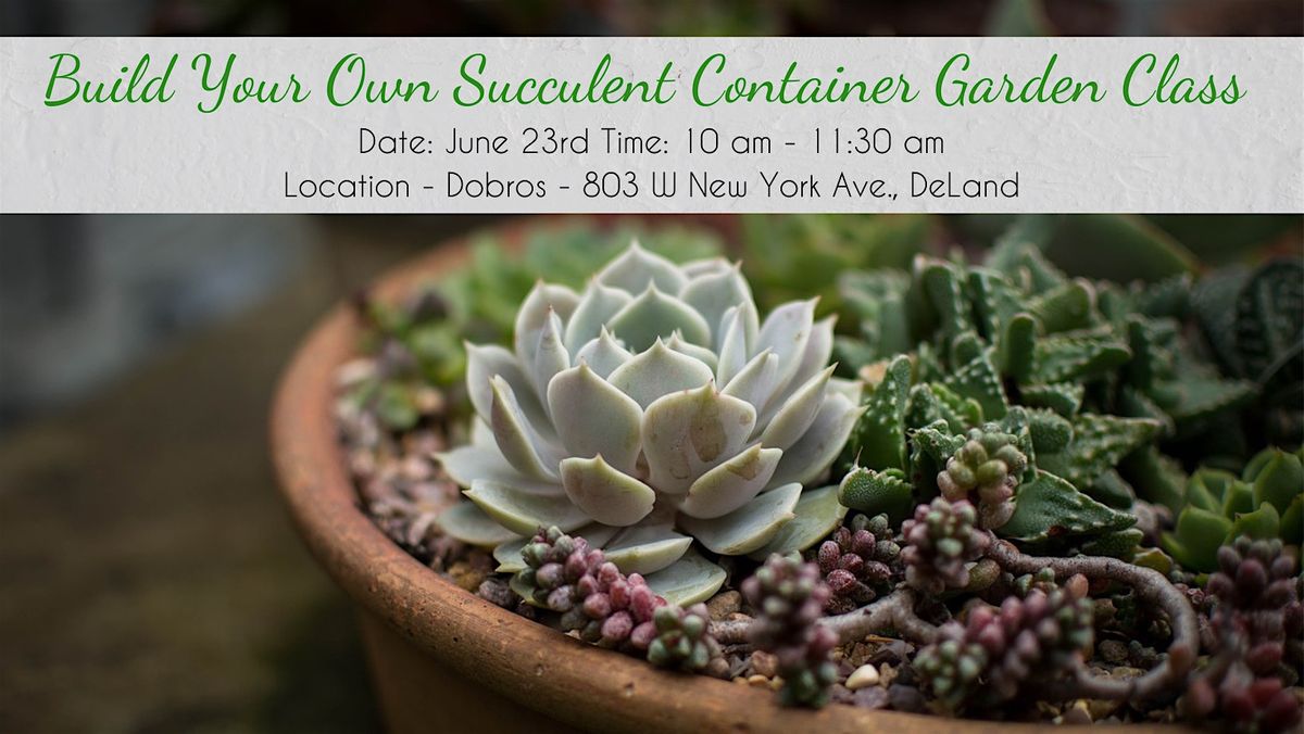 Build Your Succulent Container Garden Class