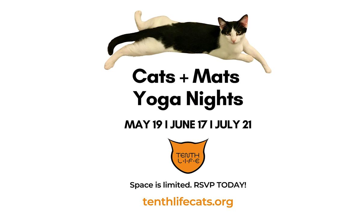 Cats N' Mats Yoga Night - July 2026