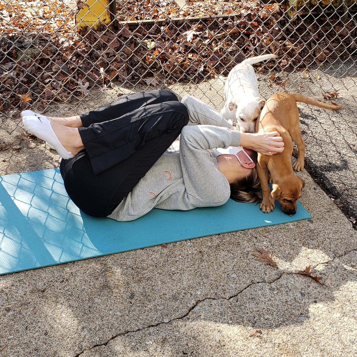 Doggy Noses & Yoga Poses - Puppy Bowl at Bellefonte Brandywine!
