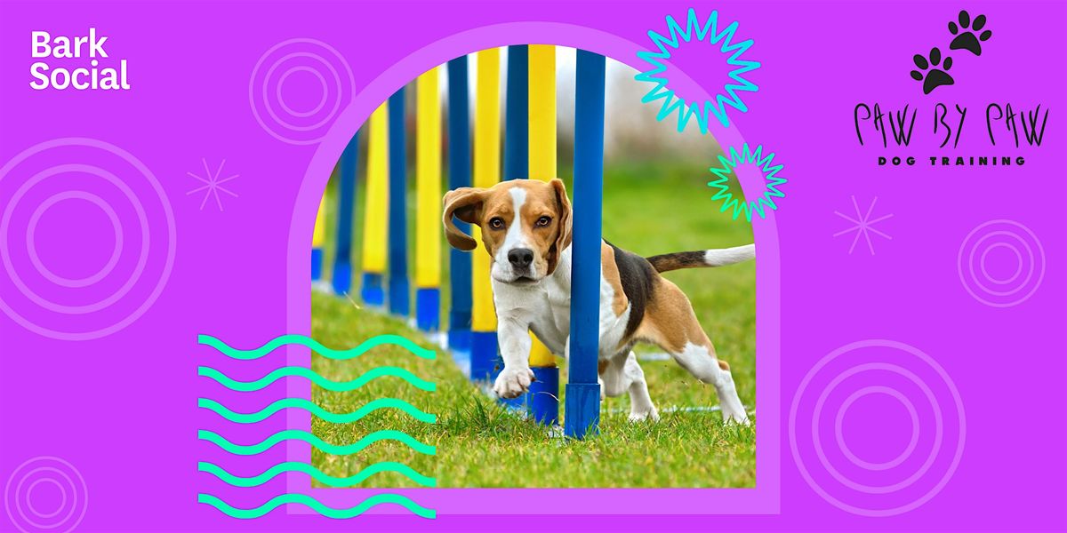 FREE Dog Agility Course Hosted By Paw by Paw at Bark Social Bethesda!