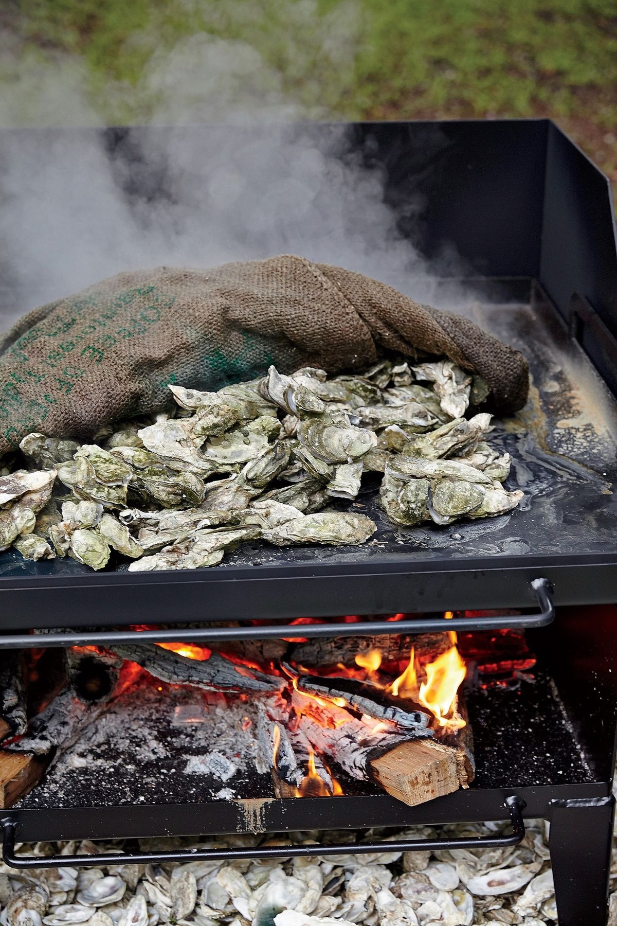 Rooftop Oyster Roast and Game Day