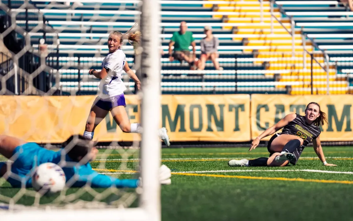 Stonehill Skyhawks at Vermont Catamounts Mens Hockey
