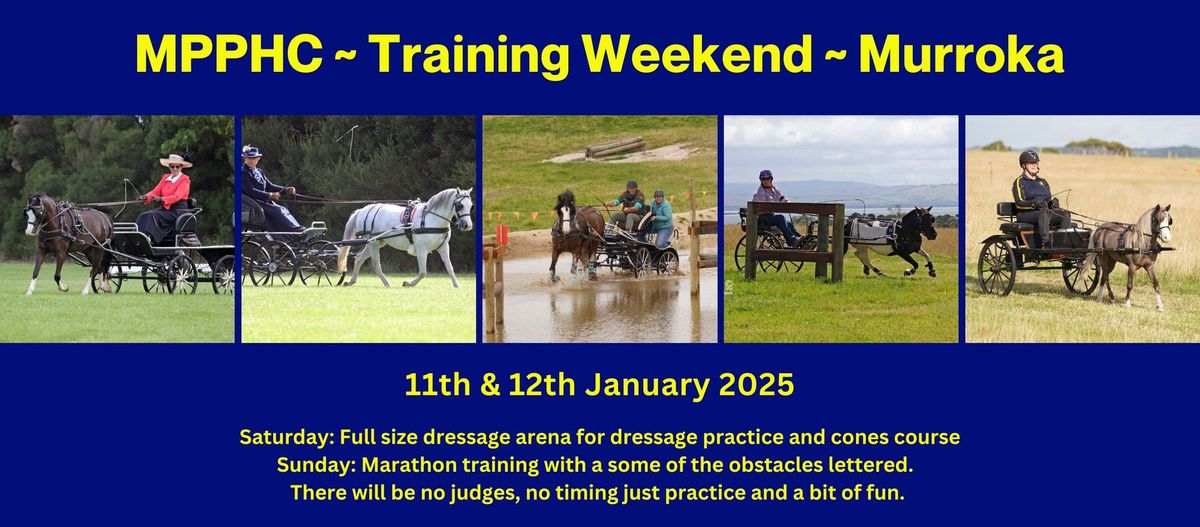 Informal CDE Training Weekend at Murroka Harness Horses