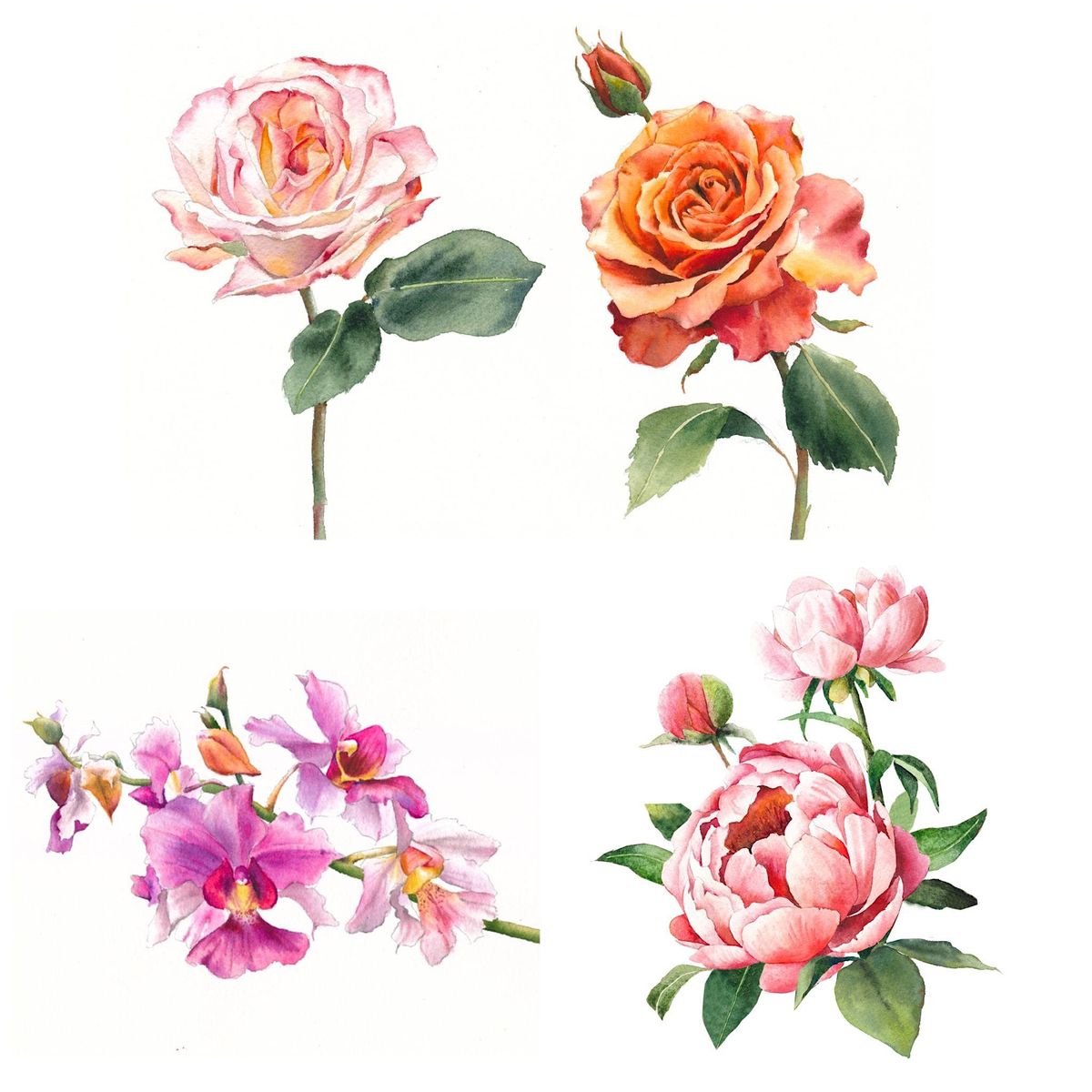Unleash Your Inner Artist: Watercolour Class (Realistic Flowers)