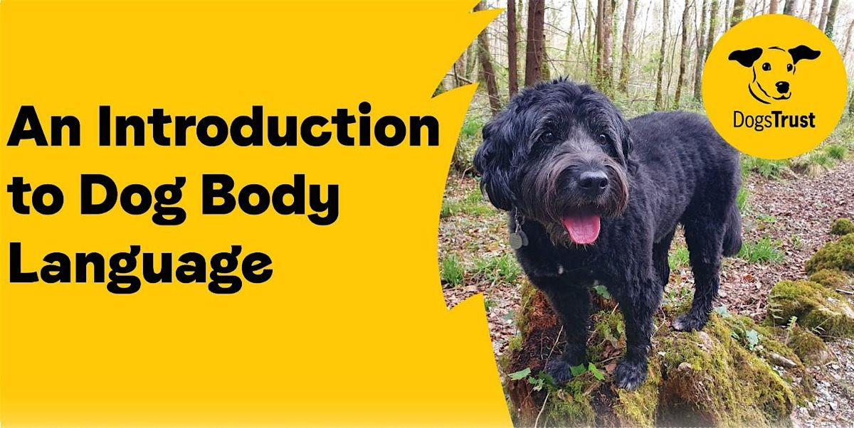 Introduction to Dog Body Language-May Talk