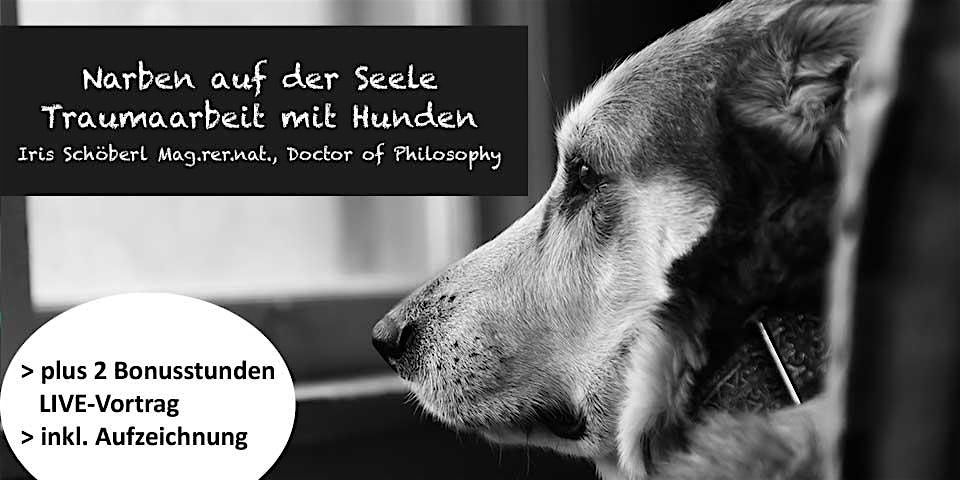 ONLINE Narben auf der Seele - Traumaarbeit bei Hunden
