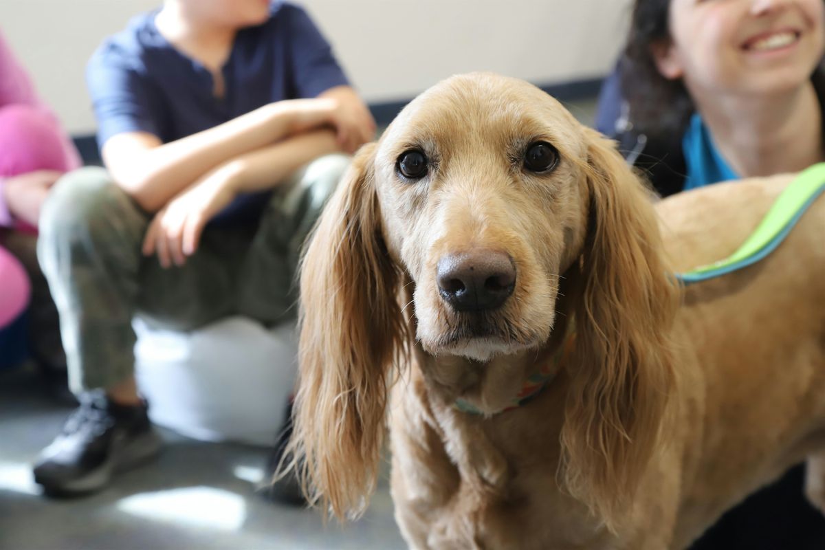 Humane Society Storytime