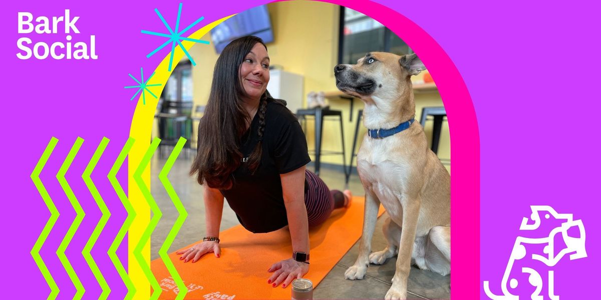 Dog Yoga with Marissa at Bark Social Baltimore