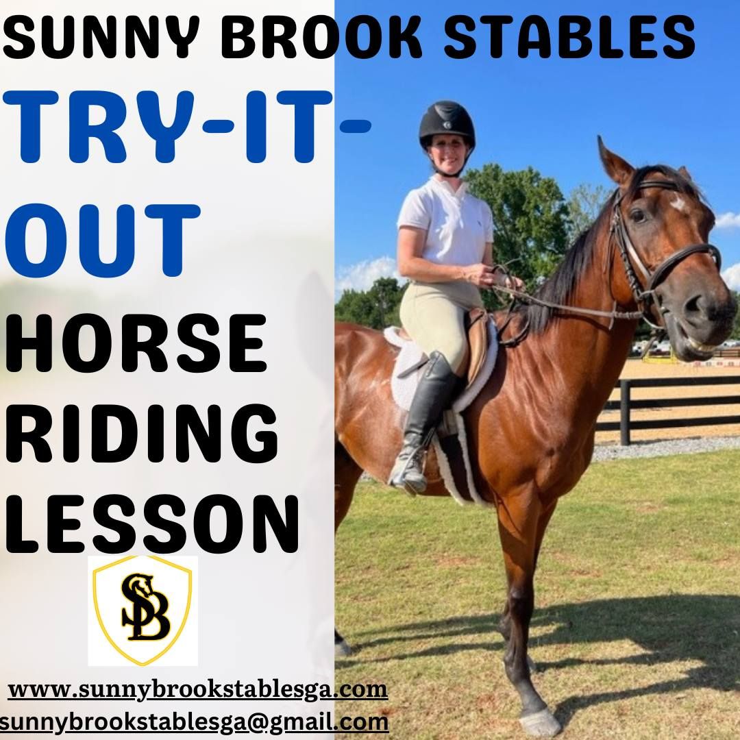 Pony Rides & Try-It-Out Horse Riding Lesson