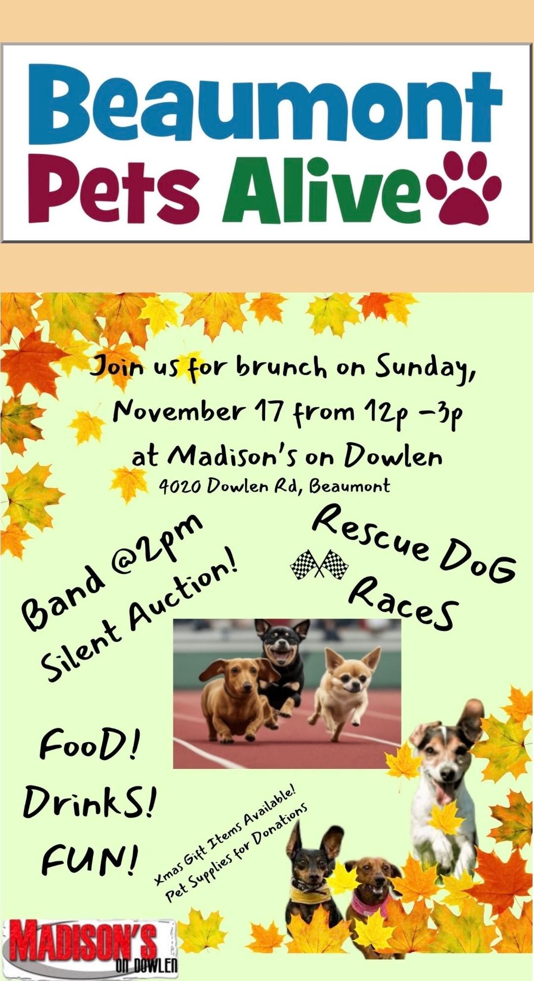 Brunch & Rescue Dog Races at Madison's!