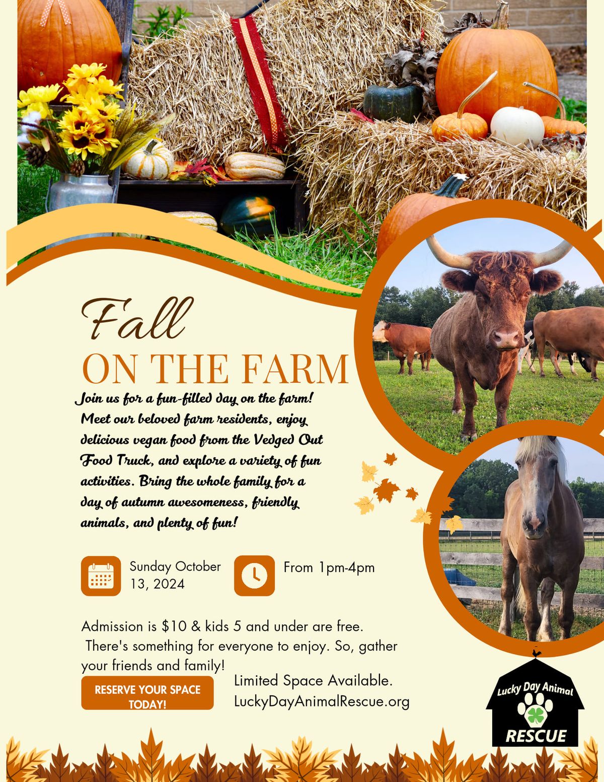 Fall on the Farm