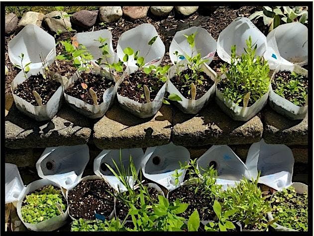 Carroll County Master Gardeners: Winter Sowing