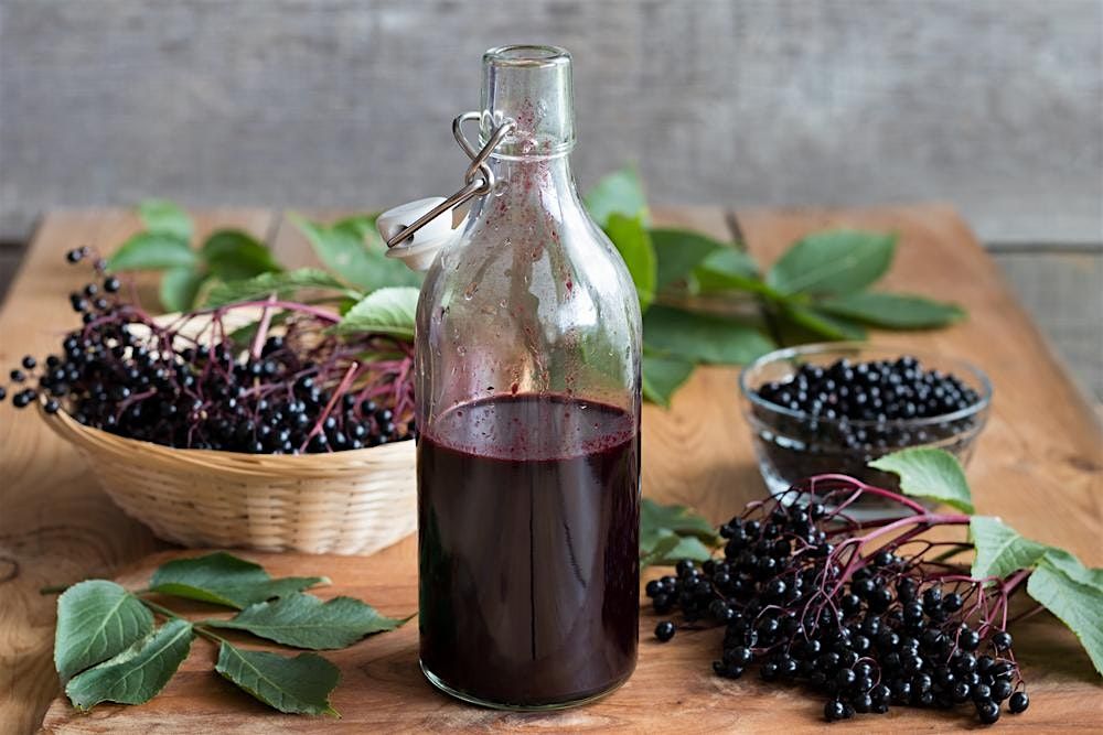 Winter Wellness: Elderberry Syrup & Cold Care Tea Blending