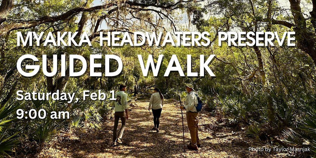 Guided Nature Walk Myakka Headwaters Preserve