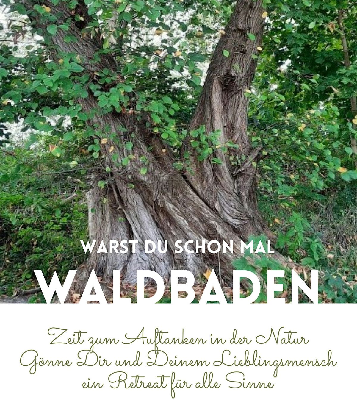 Waldbadenretreat - Wochenende zum  Natur wahrnehmen  und auftanken