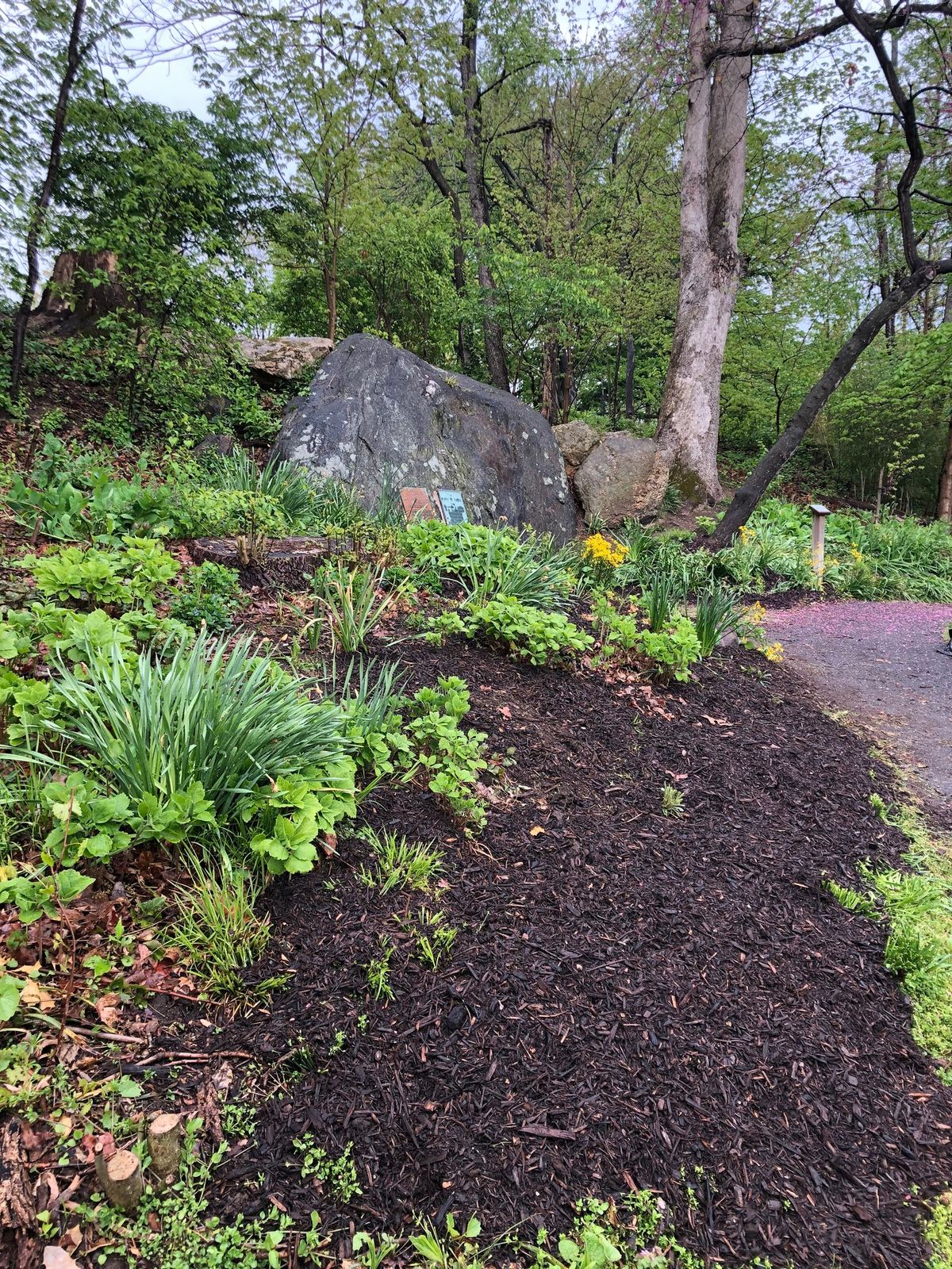 Adopt a Spot - Rouse Rock