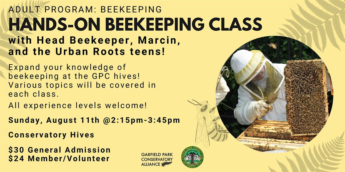 Hands-On Beekeeping class with Urban Roots (August 2024)
