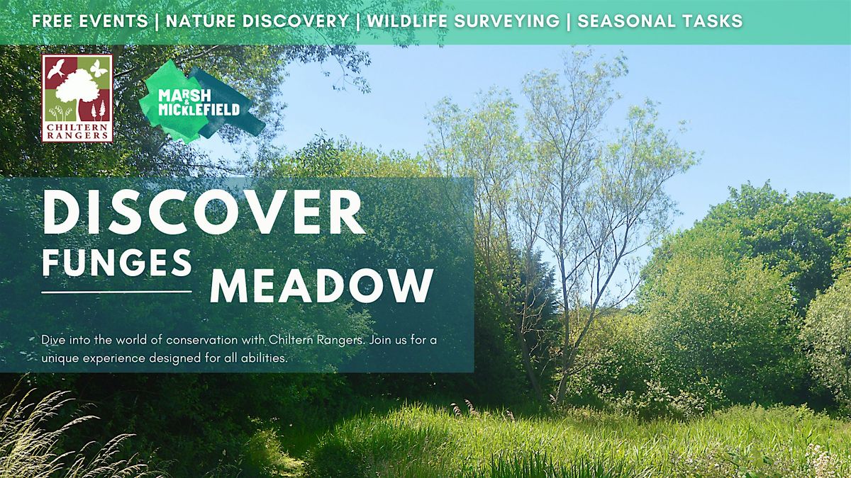 Discover Funges Meadow | Evening Session