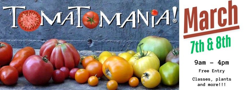 Tomatomania! 