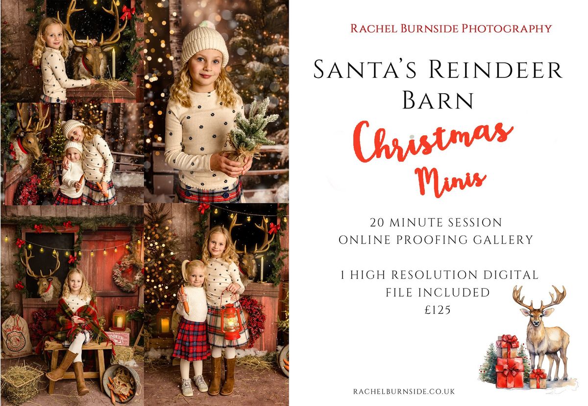 Santa's Reindeer Barn Christmas Mini Sessions