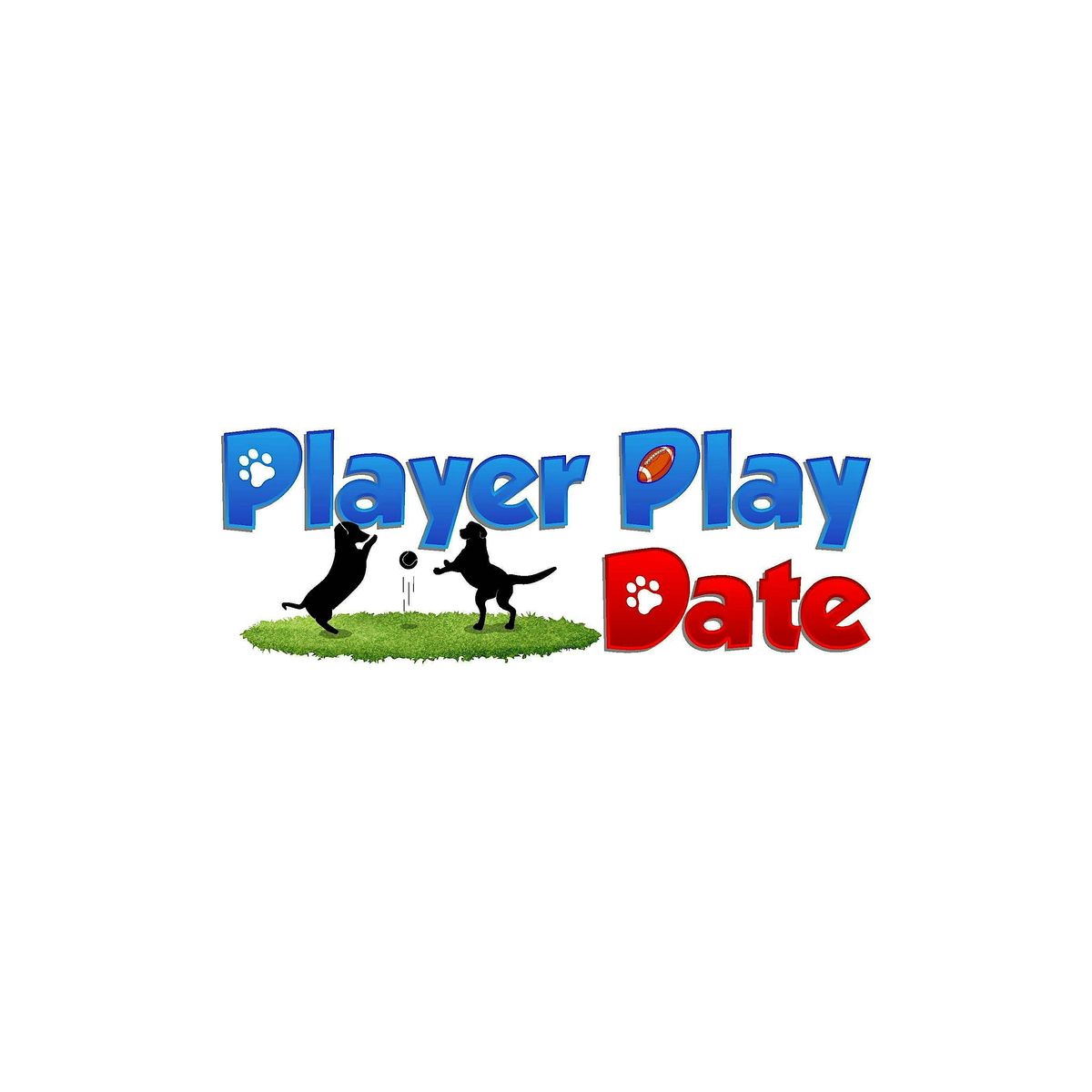 Player Play Date Dallas