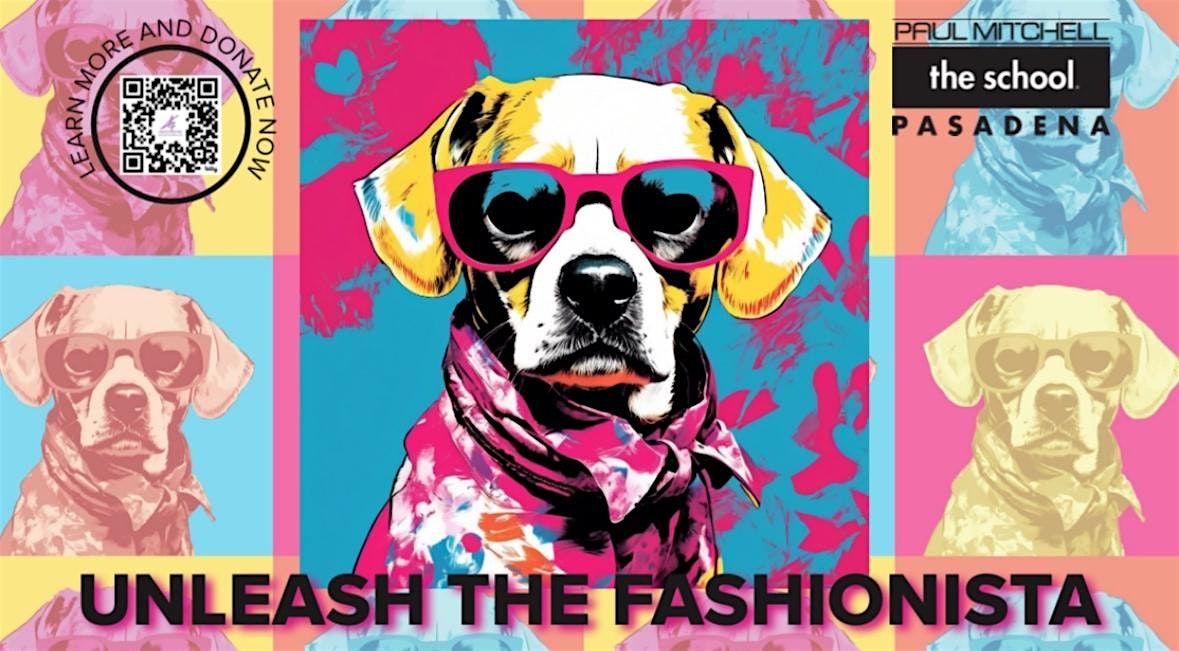 Unleash the Fashionista