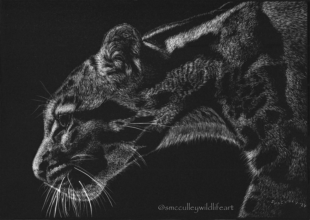 Introduction to Scratchboard with Susan McCulley (Adult-Drawing)