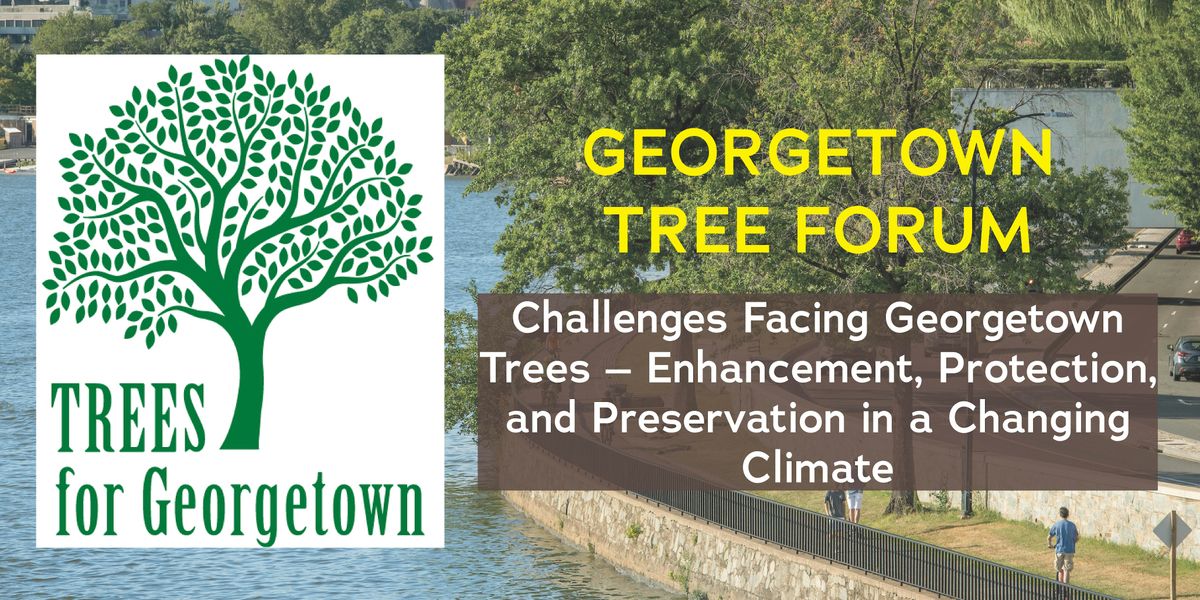 GEORGETOWN TREE FORUM Challenges Facing Georgetown Trees