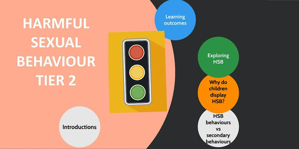 Introduction to Harmful Sexual Behaviours (HSB) in EY's Tier 2 (DATE TBC)