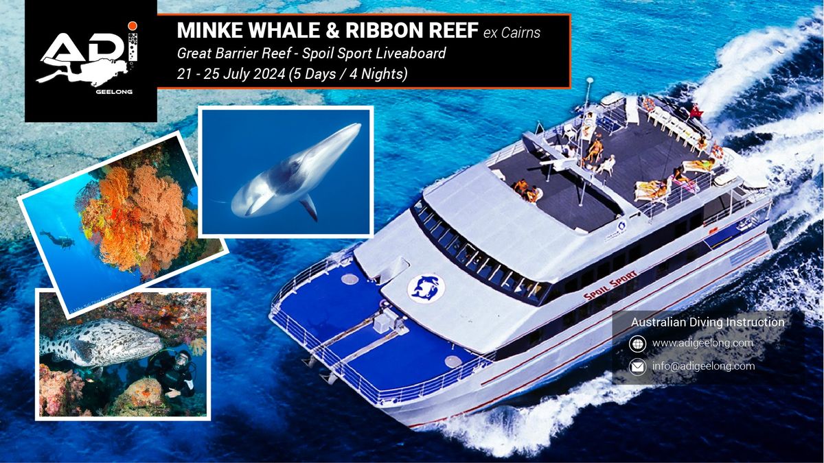 Club Trip 2024: Minke Whale & Ribbon Reef Liveaboard