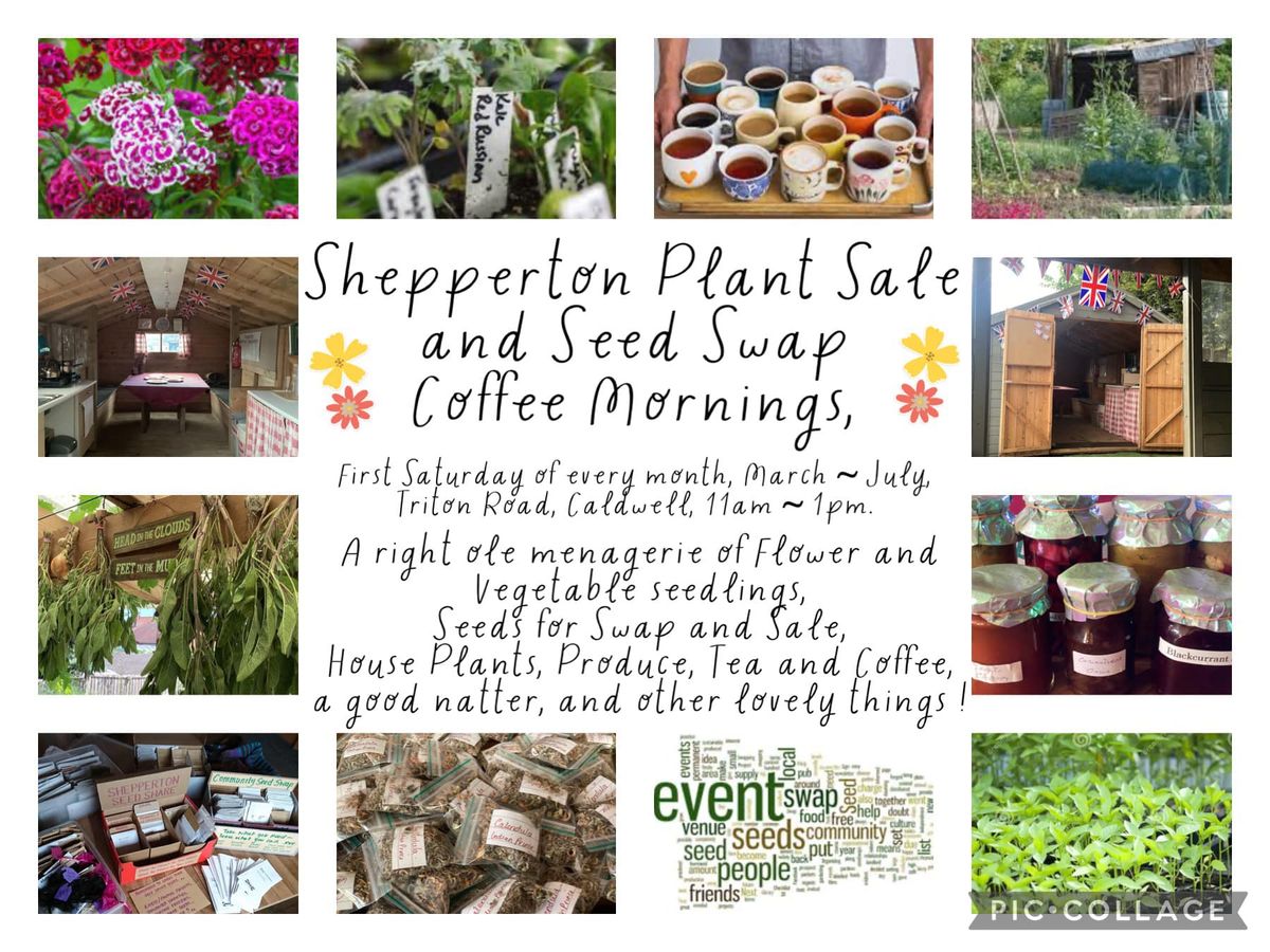Shepperton Allotment Seed Swap & Plant Fair