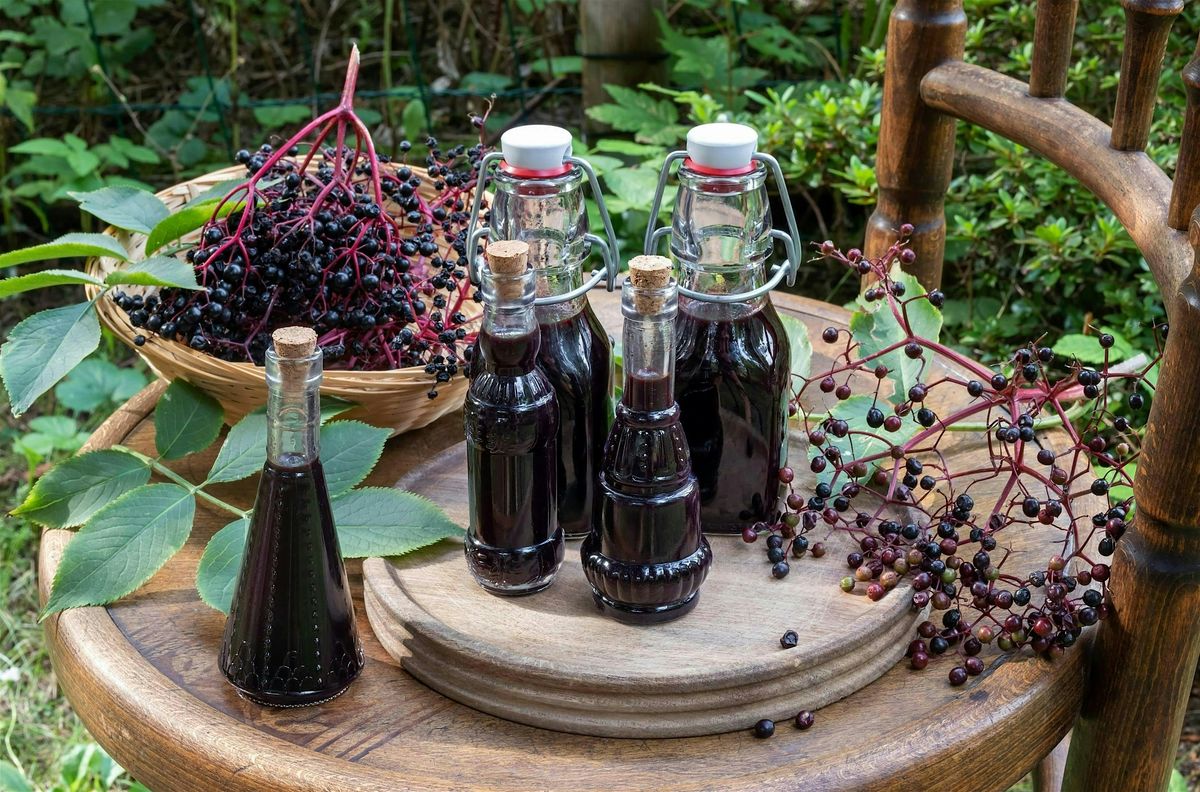 Witch\u2019s Brew: Crafting Elderberry Elixirs