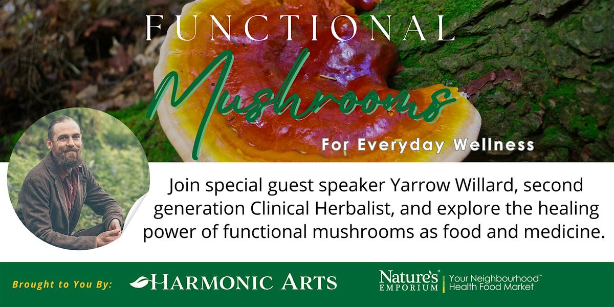 Functional Mushrooms for Everyday Wellness