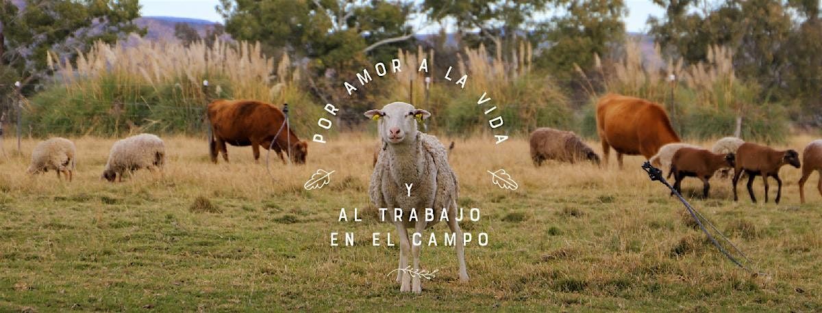 Cabra, Oveja y Algo mas, en el Turismo Rural.