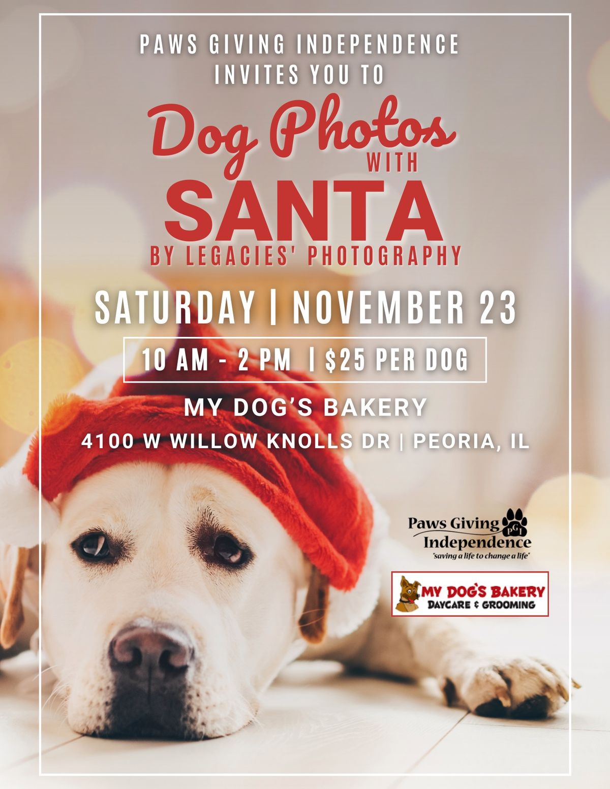 PGI\u2019s Dog Photos with Santa \ud83c\udf85