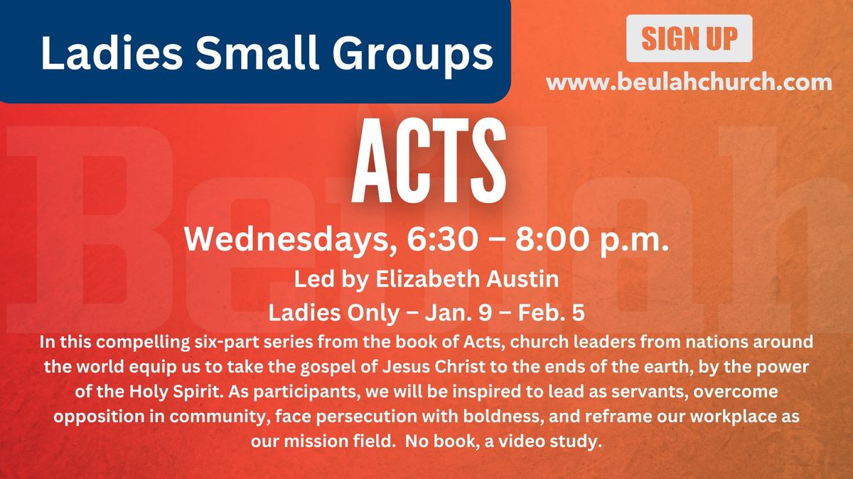 Acts Bible Study