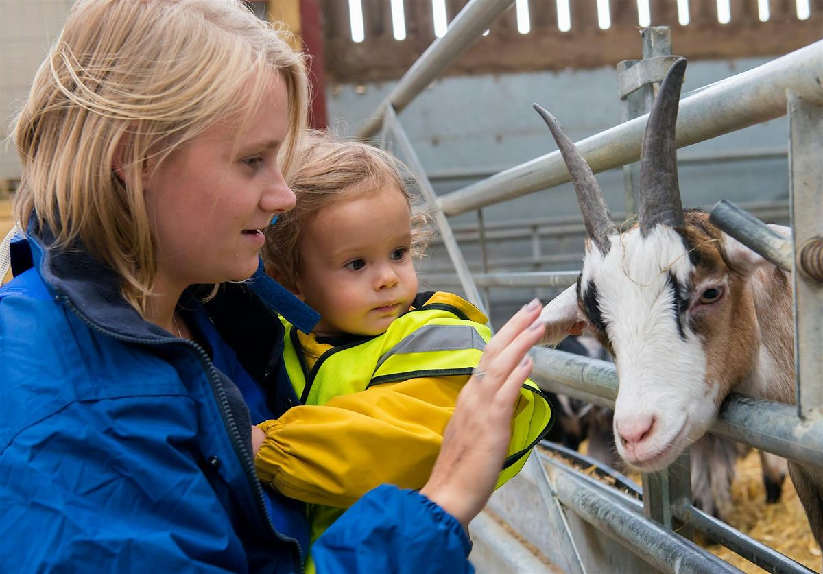 Little Chestnuts at Thrift Farm Day Nursery & Pre-School December Open Day