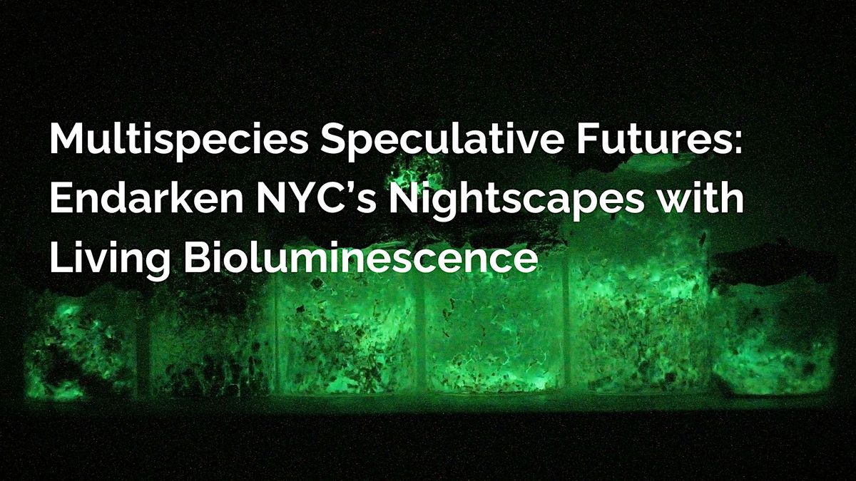 Multispecies Speculative Futures: Endarken NYC\u2019s nightscapes