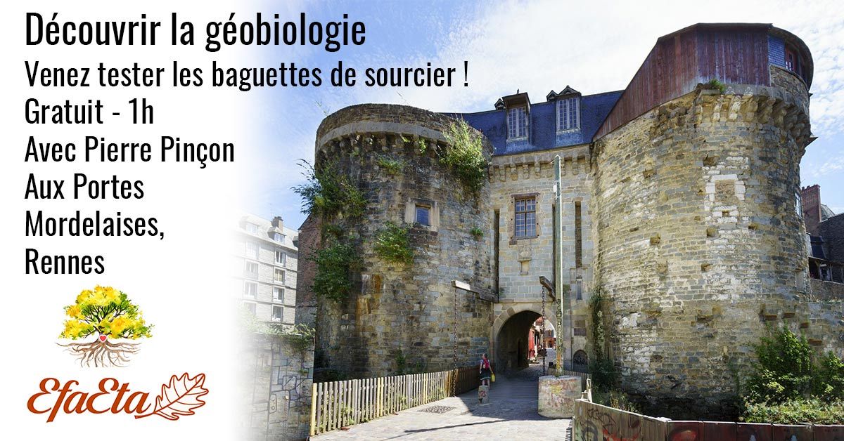 Atelier gratuit : D\u00e9couvrir la G\u00e9obiologie - Portes Mordelaises, Rennes