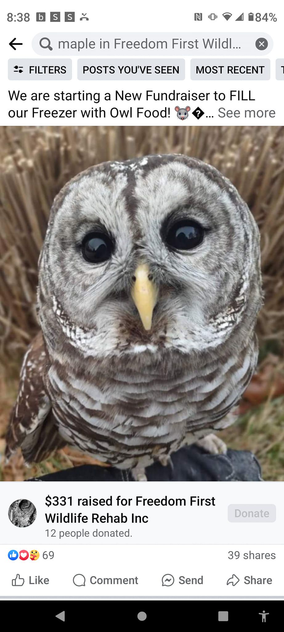 Hart's Garden Center Owl Meet and Greet