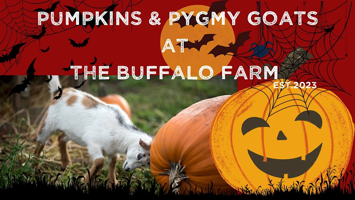 Pumpkins & Pygmy Goats