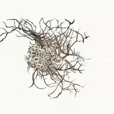 Art & Print
