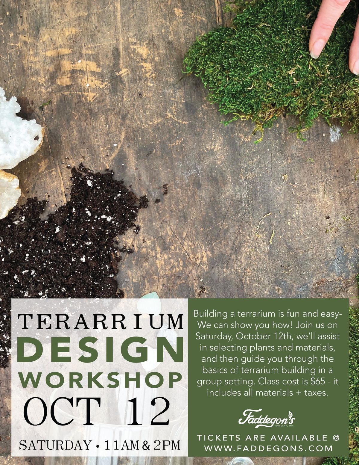 Terrarium Design Workshop