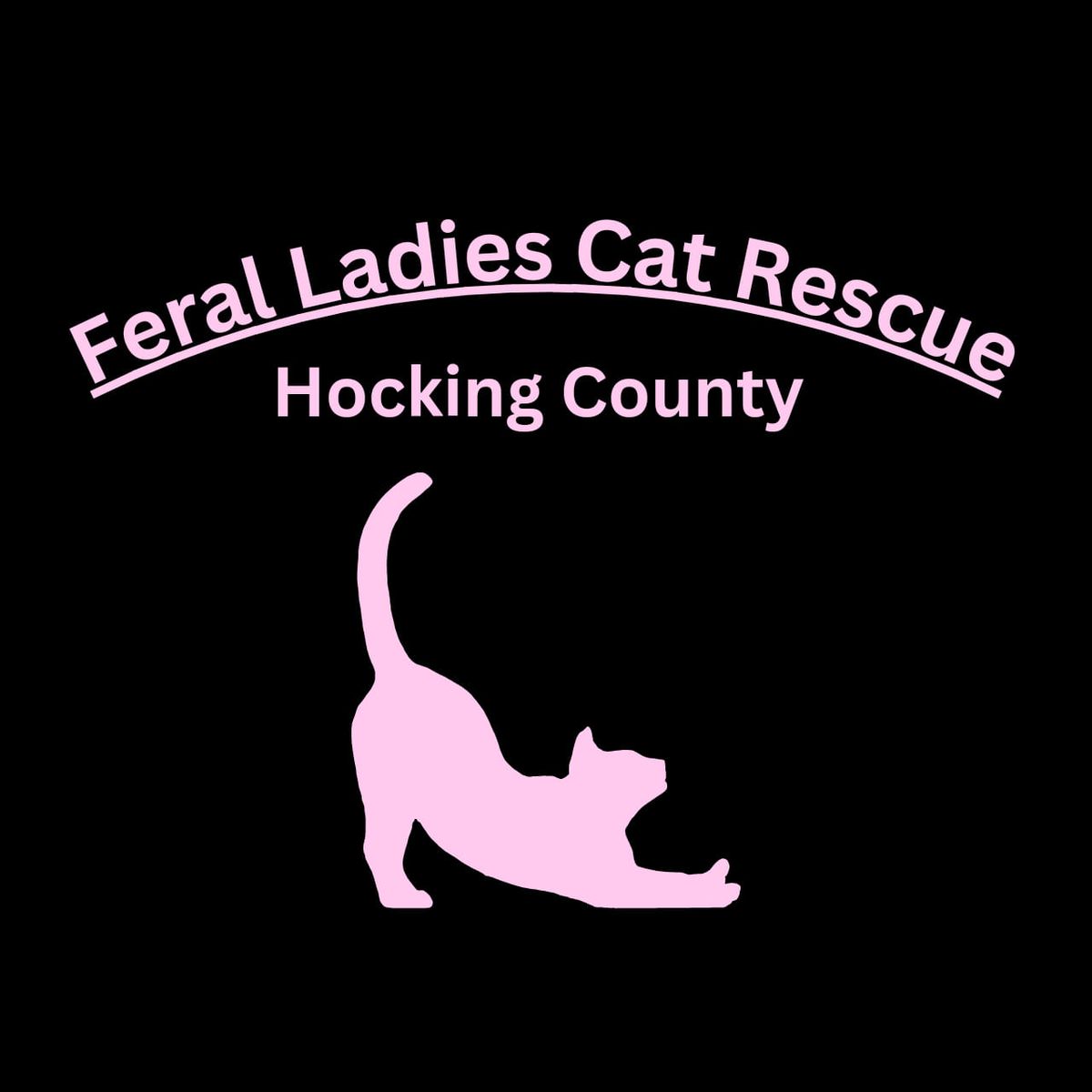 Feral Ladies Cat Rescue Chinese Auction 