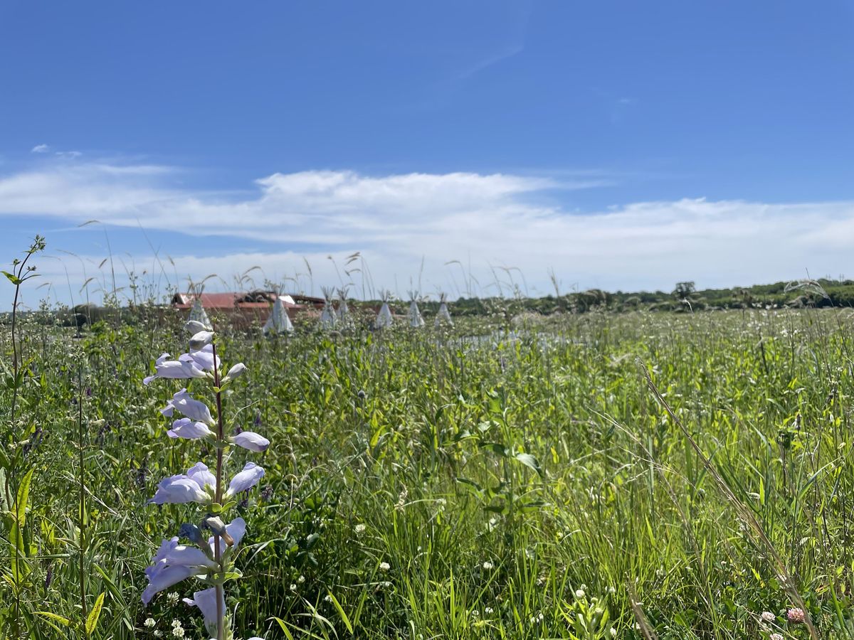 SMSC Dakota Worldview and Ecological Restoration