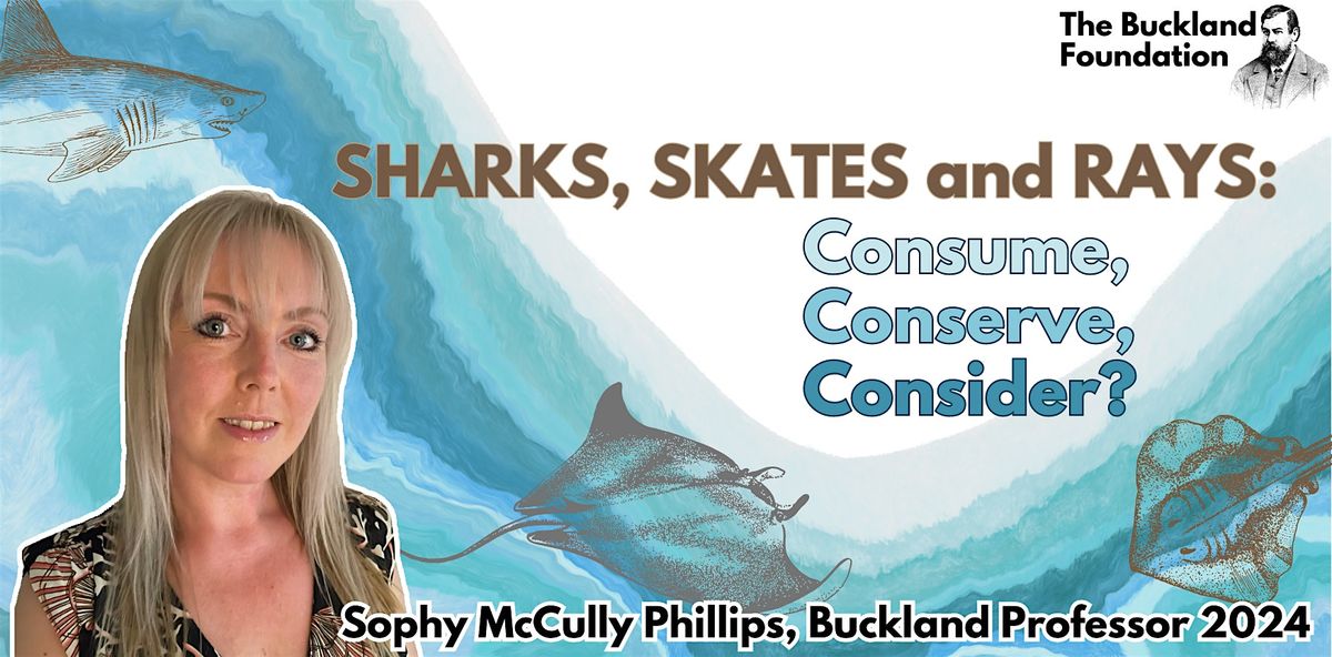 SHARKS, SKATES and RAYS: Consume, Conserve, Consider?