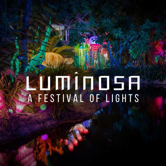 Luminosa: A Festival of Lights