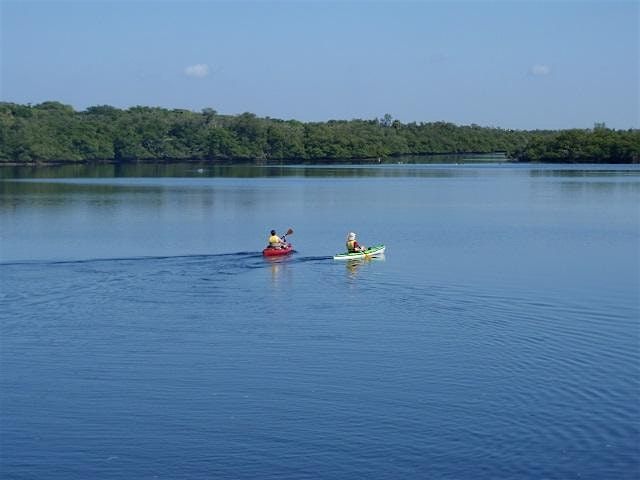 John D. MacArthur Beach Marvels: Paddle and Explore